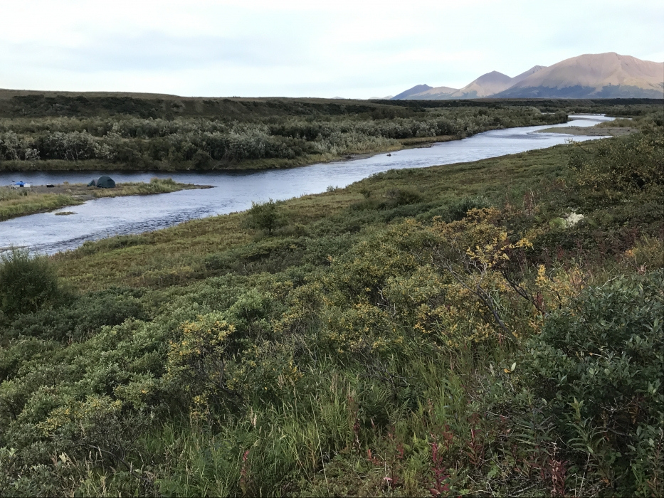 Float Alaska » Goodnews River