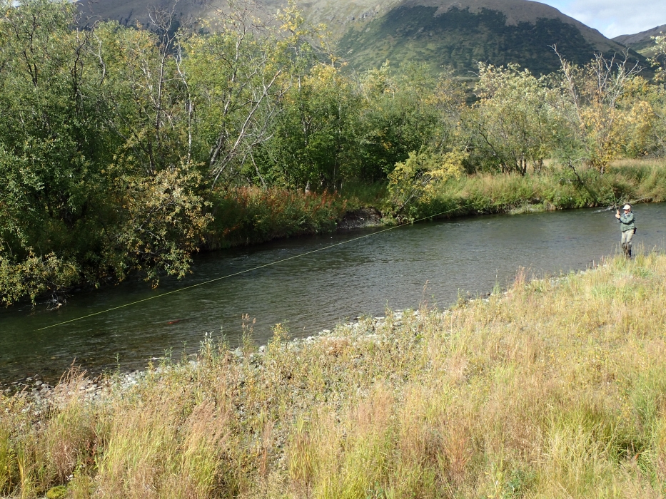 Float Alaska » Goodnews River
